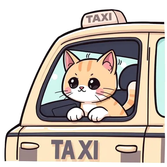 About Taxicomedy.Xyz